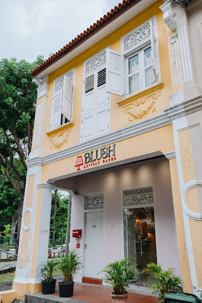 Blush Artisan Wedding and Birthday Cakes