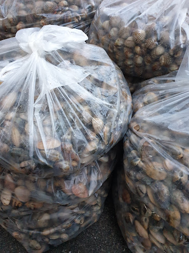 Lim Yan Hwee Trading Pte Ltd.