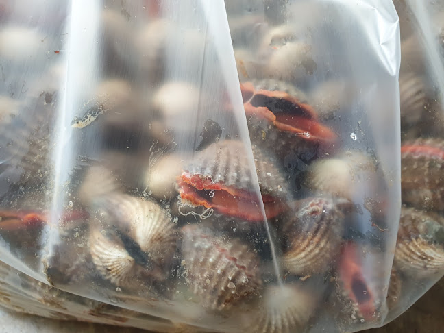 Lim Yan Hwee Trading Pte Ltd. - Singapore