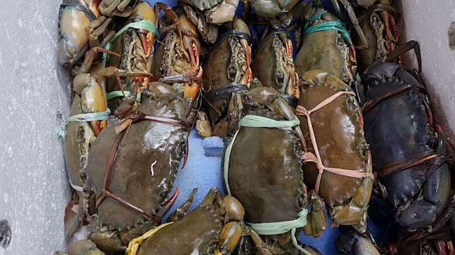 Opinii despre M1 Crab Toa Payoh Seafood Center în Singapore - Hospitality and gastronomy