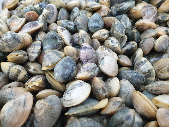 261 Serangoon Central Dr, #01-03, Singapore 550261