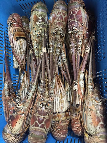 Comentarii opinii despre M1 Crab Toa Payoh Seafood Center