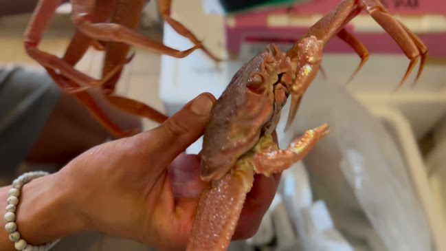 Private Dining Singapore | Avodah by Stellamoon - Hospitality and gastronomy