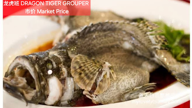 Opinii despre Steamed Fish & Seafood în Singapore - Hospitality and gastronomy