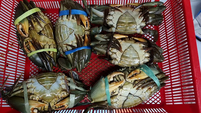 M1 Crab Toa Payoh Seafood Center - Hospitality and gastronomy