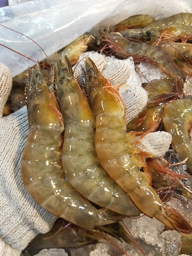 Opinii despre Hah Seafood - 合海鲜新鲜批发 în Singapore - Hospitality and gastronomy