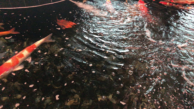 65 Airport Boulevard #B2-12, Terminal 3 Singapore Changi Airport, 819663