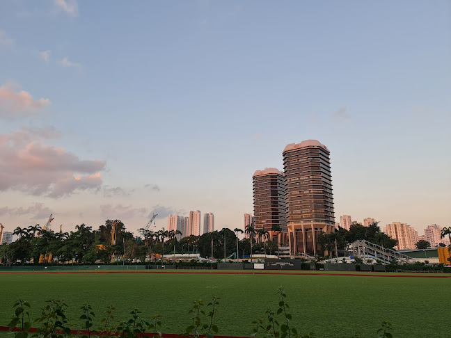 The Paddock Bistro - Poolside & Outdoor Dining - Hospitality and gastronomy