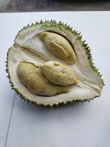 Spike Empire - Singapore