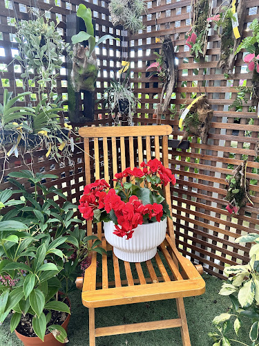 Opinii despre Weekenders Market în Singapore - Hospitality and gastronomy