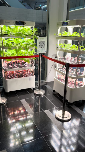 Marks & Spencer Food - Hospitality and gastronomy