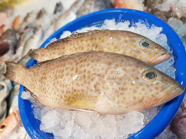 548 Woodlands Drive 44, Stall, no. 6 & 7, Vista Point, 730548