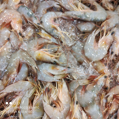 YS Fresh Seafood Market - Hospitality and gastronomy