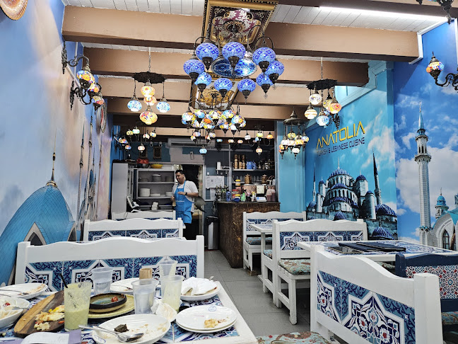 Comentarii opinii despre Anatolia Restaurant SG