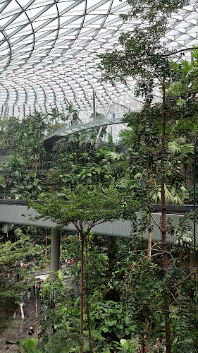 Bengawan Solo @ Jewel - Singapore