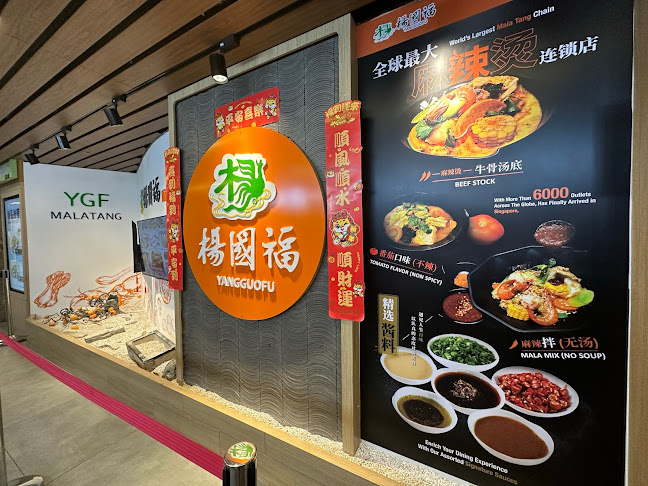 Opinii despre Yang Guo Fu Mala Tang în Singapore - Hospitality and gastronomy