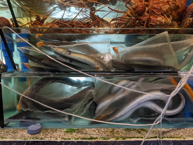 Oyster house @ Farrer Park - Hospitality and gastronomy