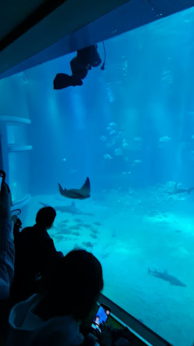 Coffee-Shop at Woodlands 11