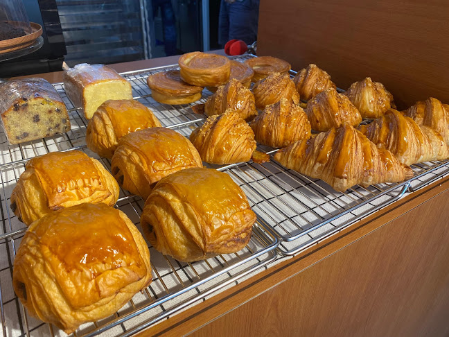 Comentarii opinii despre Quah Song & Co.