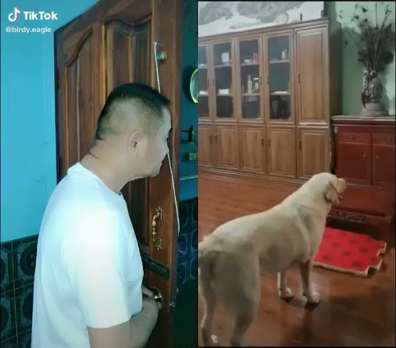 William's Food Stall - Singapore