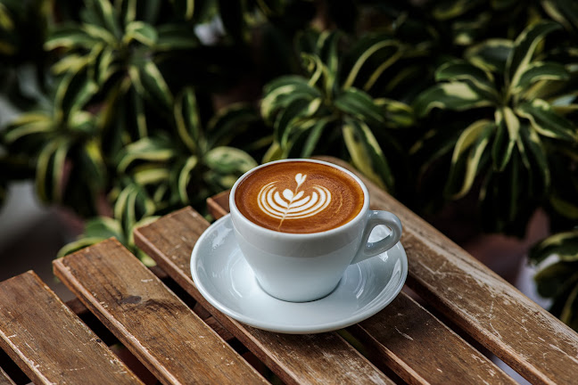 Oddity - Hospitality and gastronomy