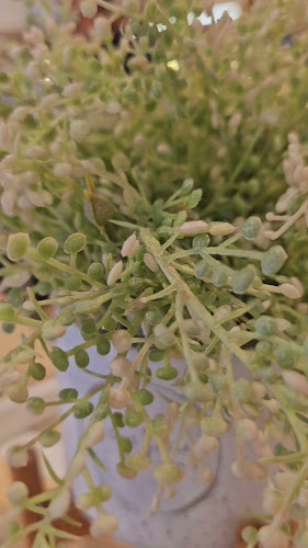 Yocha Tea & Desserts