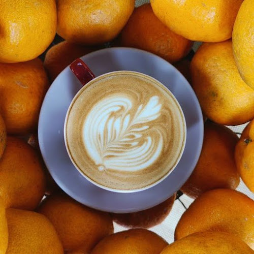 The Wired Monkey SG (The Hole)