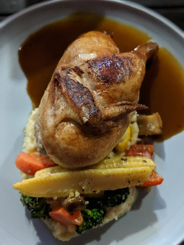 Lazy Lizard - NEWest - Singapore