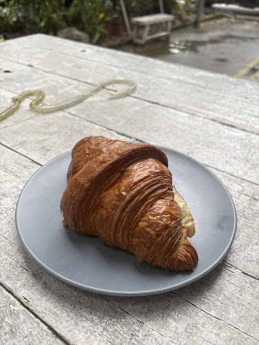 Earlybird - Singapore