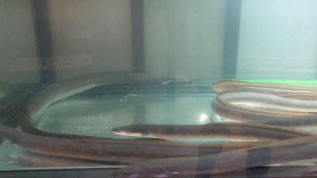 3 Yuan Ching Rd, #01-02A, Singapore 618642