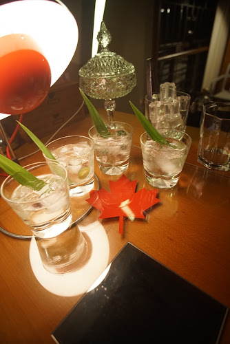 17 Maple Ave, Singapore 277577