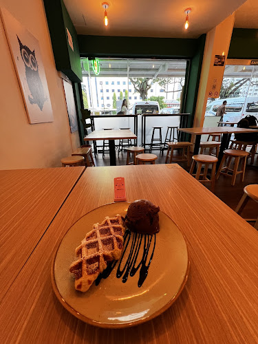 Frosty Owl - Singapore