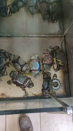 33 Sembawang Eating House - Hospitality and gastronomy