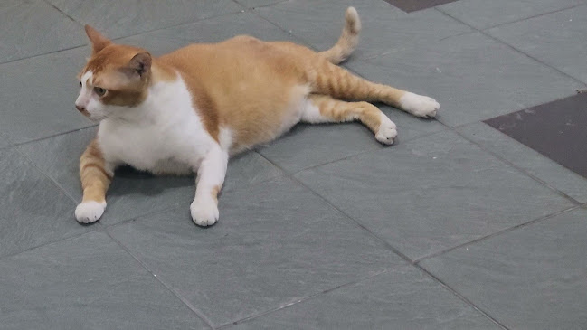 Toa Payoh Vista Market - Singapore