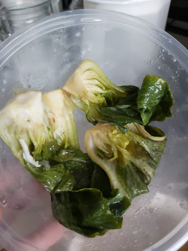 Opinii despre Tian Tian Hainanese Chicken Rice - Bedok Branch în Singapore - Hospitality and gastronomy