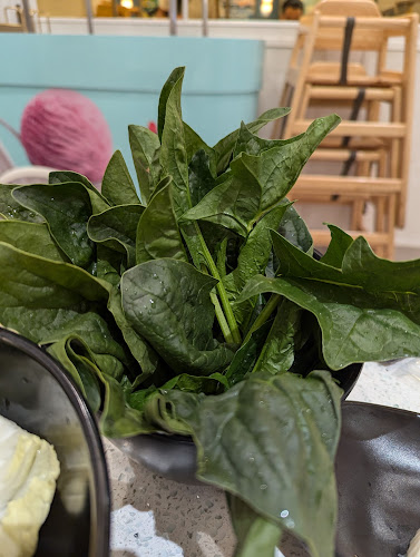 Opinii despre Beauty in The Pot 美滋锅 at Jewel Changi Airport în Singapore - Hospitality and gastronomy