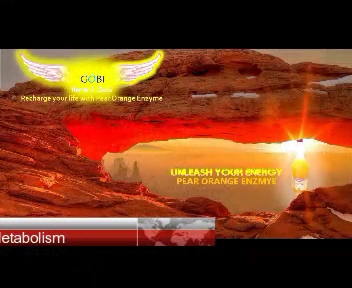 Brewbaga - Hospitality and gastronomy