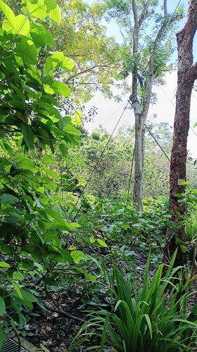 Comentarii opinii despre Ice Cream Man and Friends