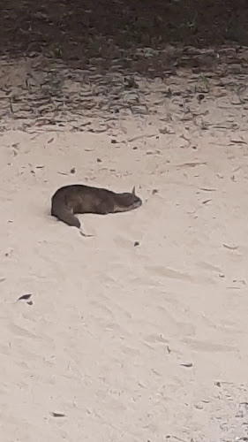 Changi Beach Seafood Paradise - Hospitality and gastronomy