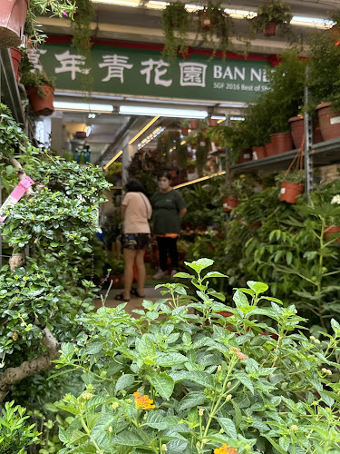 Comentarii opinii despre Ban Nee Chen Retail @ Chong Pang