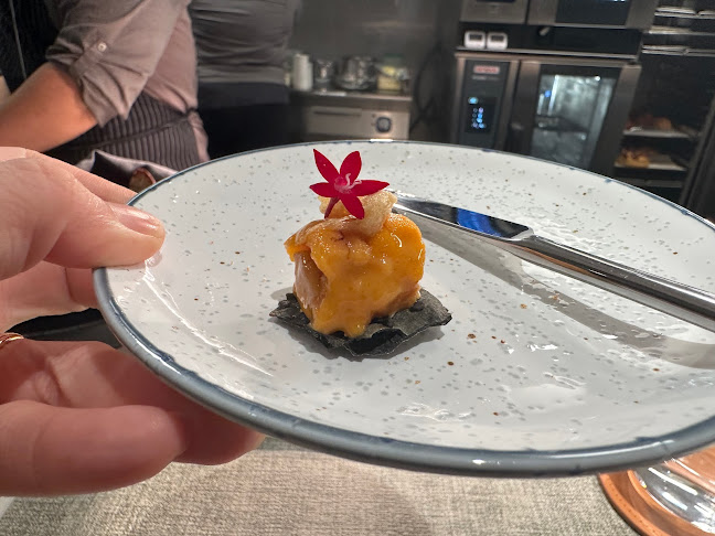 Comentarii opinii despre Sonder