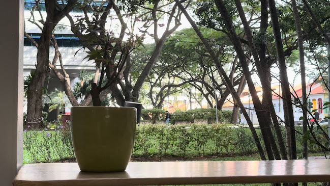 Comentarii opinii despre Morimori Yogashi Pte Ltd