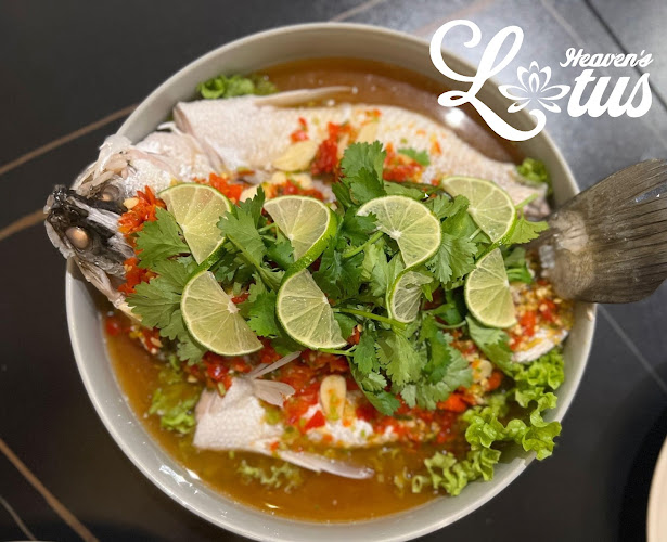 Heaven's Lotus - Singapore