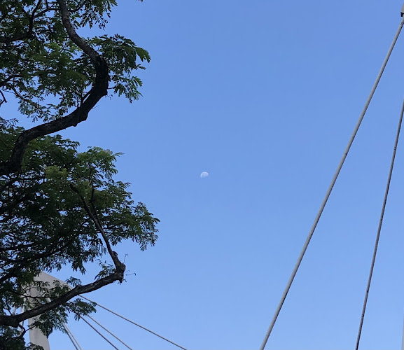 Opinii despre Garden Street Kway Chap (Serangoon Garden) în Singapore - Hospitality and gastronomy