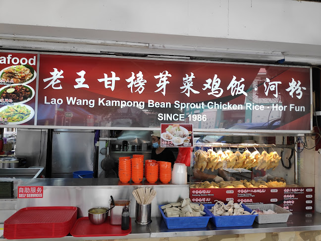 Lao Wang Kampong Bean Sprout Chicken Rice Hor Fun - Singapore