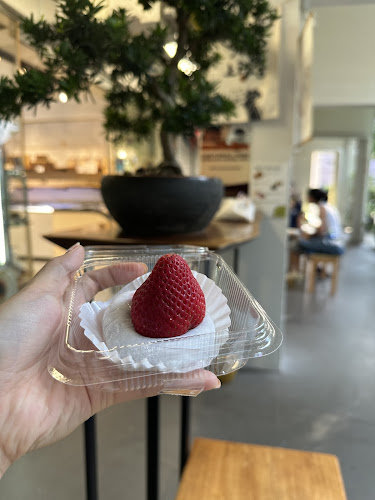 Comentarii opinii despre Morimori Yogashi Pte Ltd