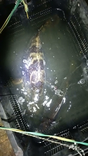 Bistro At The Park - Hospitality and gastronomy