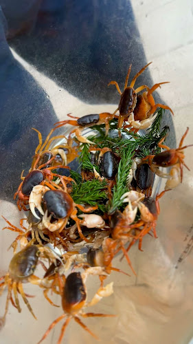 618 Upper Bukit Timah Rd, B01-02 St Francis Xavier Seminary, Singapore 678214