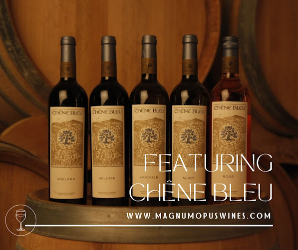 Opinii despre Magnum Opus Wines în Singapore - Hospitality and gastronomy