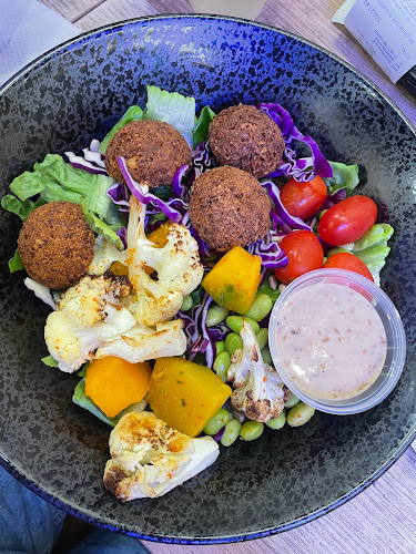 Comentarii opinii despre Bowl Chap